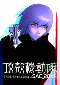 Ghost in the Shell: SAC_2045