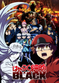 Hataraku Saibou Black Japanese english subbed