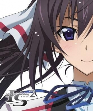 IS: Infinite Stratos 2 - Hitonatsu no Omoide Japanese english subbed