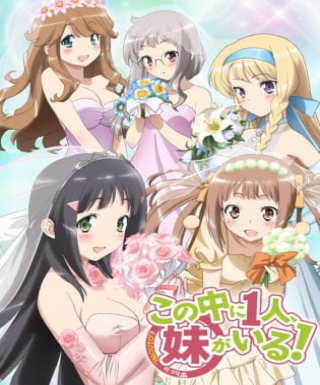 Kono Naka ni Hitori, Imouto ga Iru! Japanese english subbed